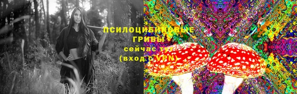 первитин Киреевск