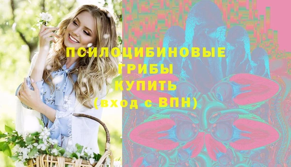 стафф Киренск