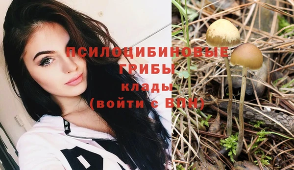 СК Кинешма