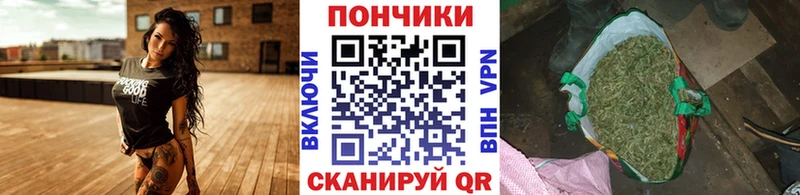 Купить закладки  Ивантеевка  Каннабис сатива 